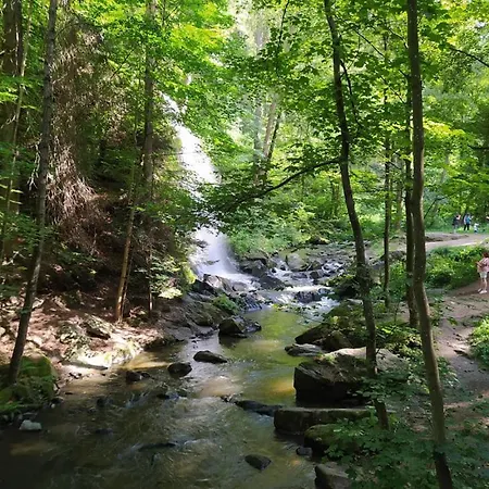 Vallon Cheri * Nové Hrady